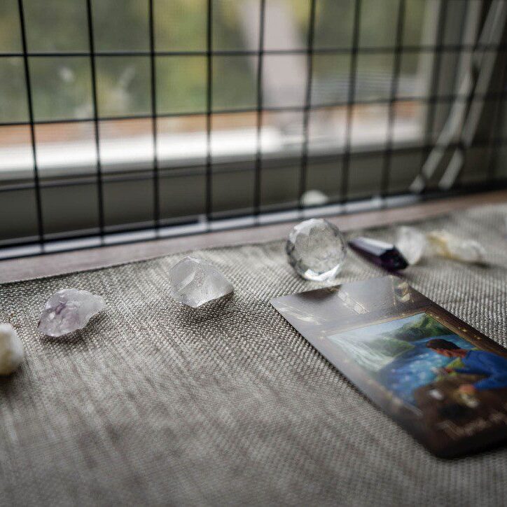 Seashells and a postcard arranged on a wooden surface near a window.